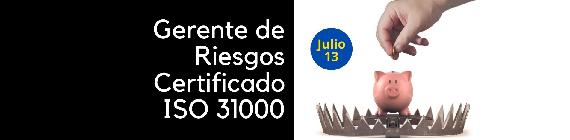 Risk Manager ISO 31000 Julio 13
